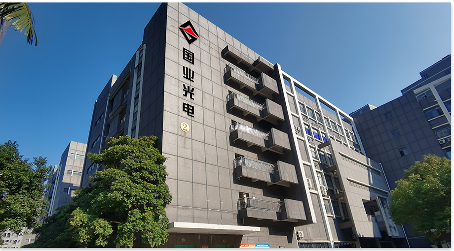 Shenzhen Guoye Optoelectronics 2024年末の要約